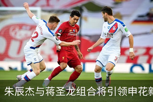 朱辰杰与蒋圣龙组合将引领申花新征程！
