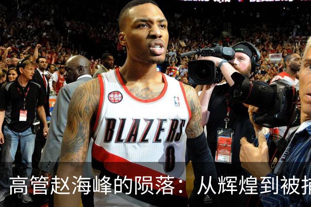 高管赵海峰的陨落：从辉煌到被捕的权力陷阱